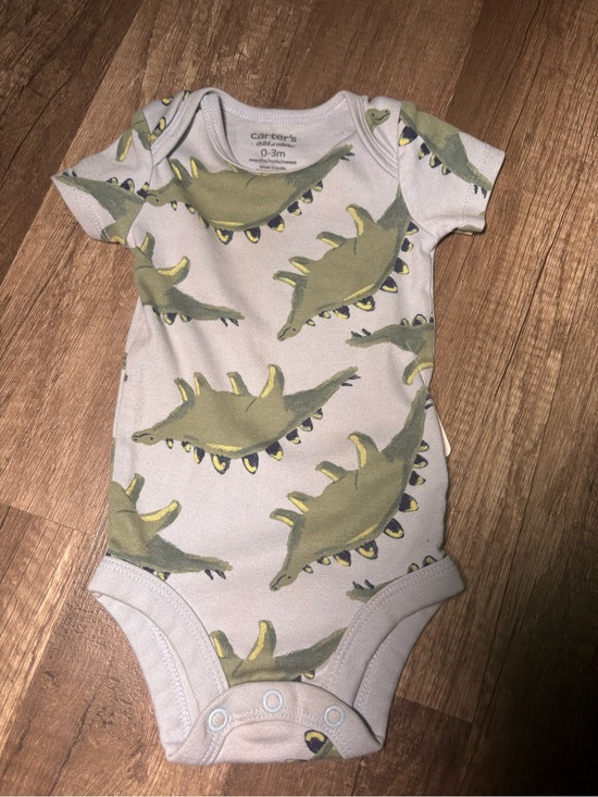 Carter's Other - Carter's Light Gray One-Piece with Green Dinosaur Print. 210